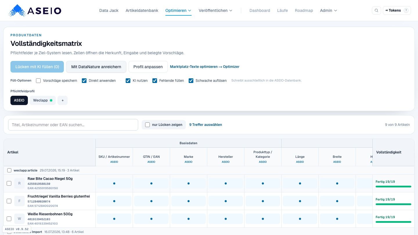 Screenshot: Pflichtfelder komplett → weiter zu Optimizer & Veröffentlichung